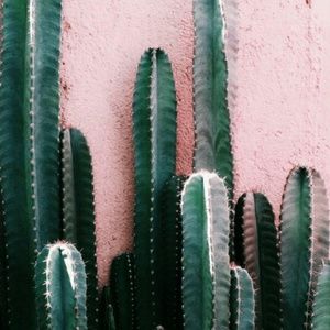 Hey I'm new plz donate $5 or more if you want